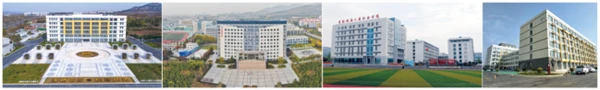 为什么可靠的篮球技术指导对初学者很重要?_2