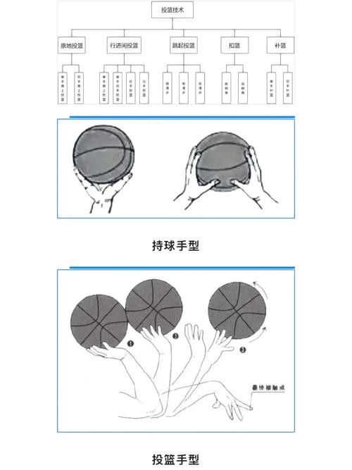 女性篮球爱好者如何找到适合自己的辅导方式