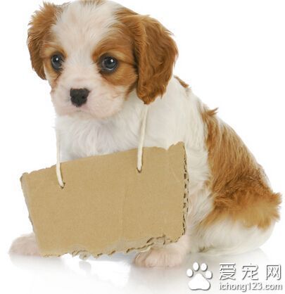 哪里可以找到关于篮球协调训练的教程?_2